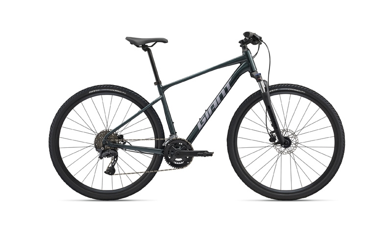 Giant Roam 2