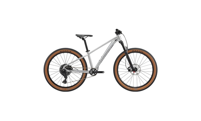 Giant STP 26" Regular