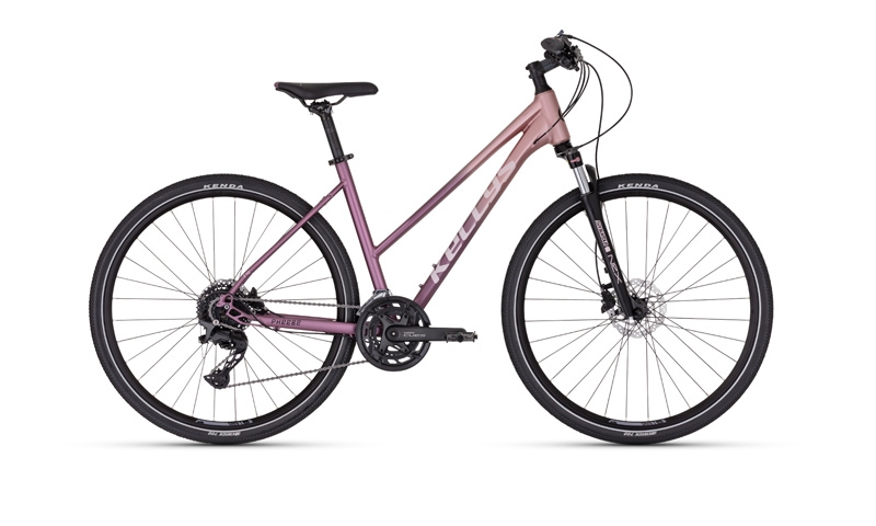 Kellys Pheebe 70