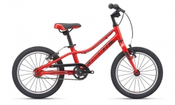 Giant ARX 16 2021
