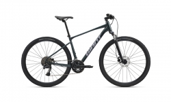 Giant Roam 2