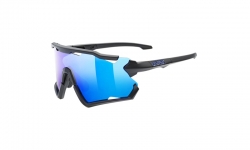 Brýle Uvex Sportstyle 228