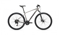 Giant Roam 3