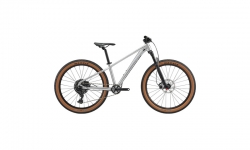 Giant STP 26" Regular