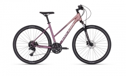 Kellys Pheebe 70