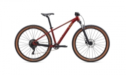 Liv Tempt 29" 2
