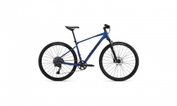 Giant Roam 1