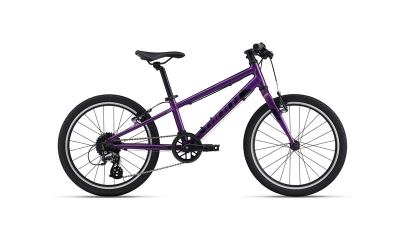 Giant ARX 20