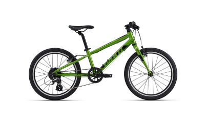 Giant ARX 20