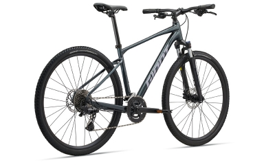 Giant Roam 2