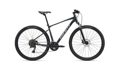 Giant Roam 2