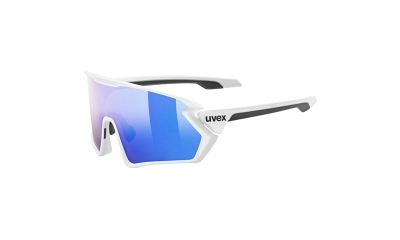 Brýle Uvex Sportstyle 231